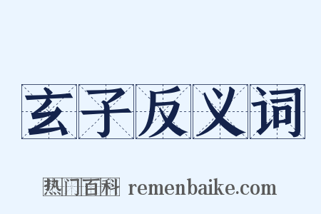 玄子反义词是什么意思的图片